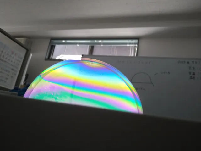 小学1年の代表写真