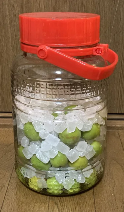 詰めた直後の梅と氷砂糖