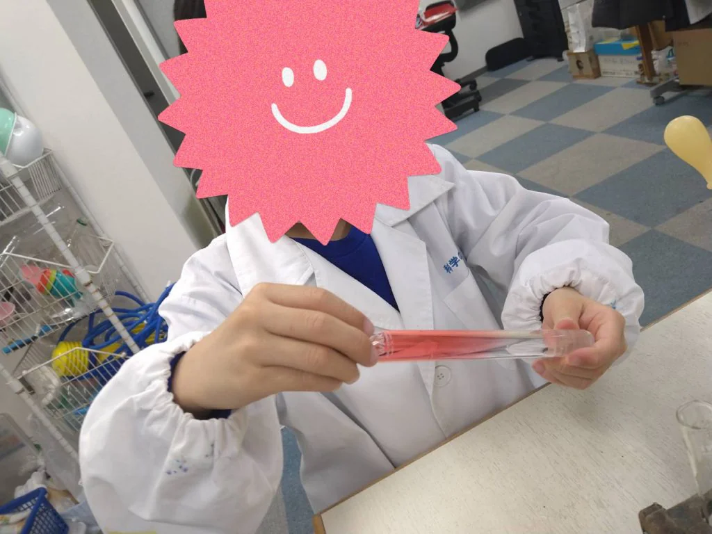 透明の塩水と色付きの真水を試験管に入れて、ひっくりかえすとどうなるか実験している子ども
