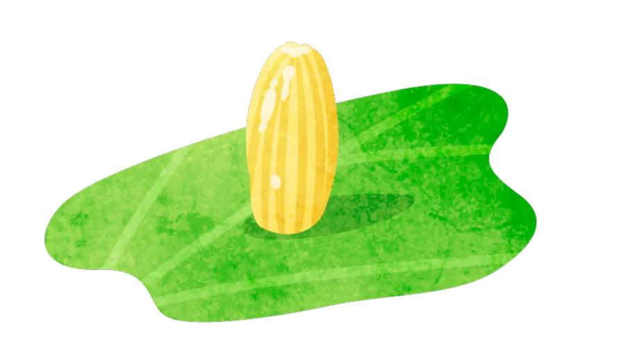 昆虫のイラスト