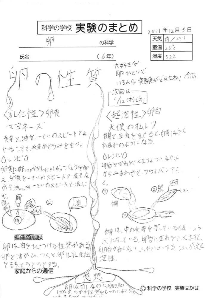 まとめノート例 O-09